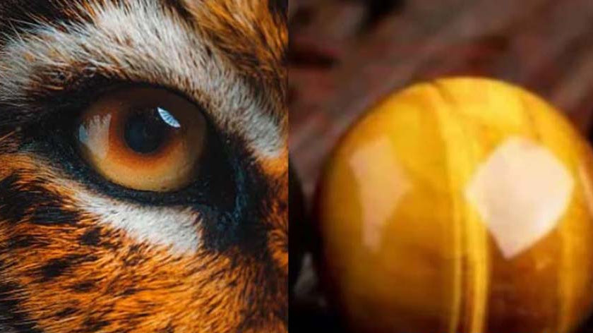 Tiger Eye Bracelet: A Wearable Symbol of Courage, Stability & Timeless Style